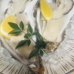 炉端あほう鳥 - 