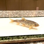 天麩羅 巽 - 稚鮎