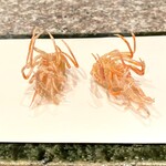 天麩羅 巽 - 才巻海老の足