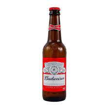 CURRY＆CAFE 乙カレー - 青葉（スープカレー）の写真