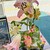 栄昇堂 - その他写真:店内の生花
