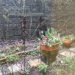 シークレット レストラン カメ - 