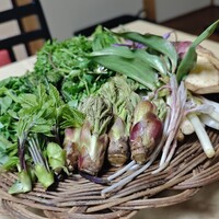 出羽屋 - 