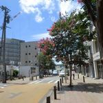 シェ・ヒャクタケ - お店前の通り