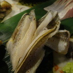 いとや - 活き穴子のタタキ刺し