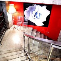 TOOTH TOOTH TOKYO - 