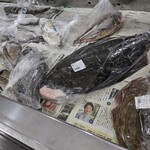 道の駅 上天草さんぱーる - 巨大ヒラメなど