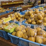 道の駅 上天草さんぱーる - パール柑