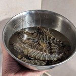 道の駅 上天草さんぱーる - 活きクルマエビ