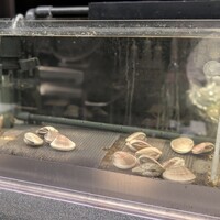 BAKNOS - 店内