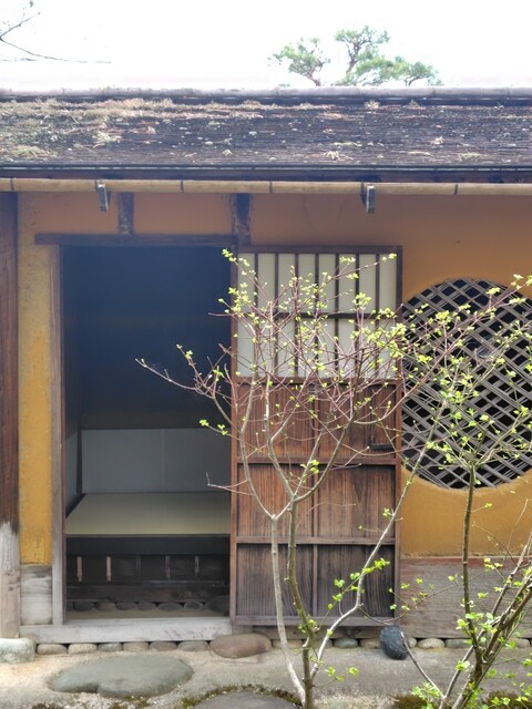 茶室麟閣 - 西若松（甘味処）の写真