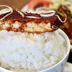 みそかつ専門店 レスト サカエ - 元祖みそかつ定食