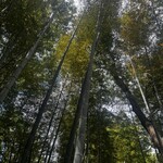 納屋養生 めぐる - 