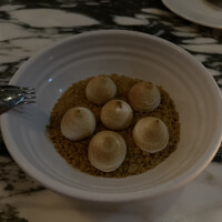 THE APOLLO - 
