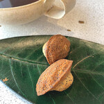 eos - マドレーヌ