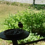 くつきそば 永昌庵 - 