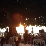 Hau Tree Lanai Restaurant - 