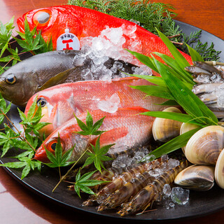 近海天然魚貝を使用。その日の特選素材で彩る季節料理