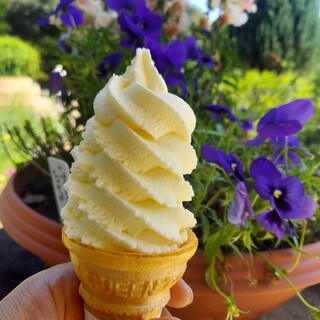 昭和記念公園内 花木園売店(花木カフェ)_0