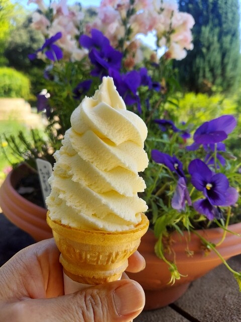 Showa Kinen Koen Nai Kabokuen Shop (Kaboku Cafe)