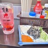 酒蔵 力 浦和本店