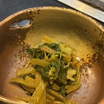 たぬき ラクーンドッグ - 