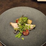 オッジ ダルマット 西麻布店 - 