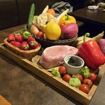 オッジ ダルマット 西麻布店 - 