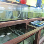 Sornthong Restaurant  - お店に入ると入口付近には大きなシャコやエビが泳ぐ水槽あありそれを見ながら店内に入ります。 
            