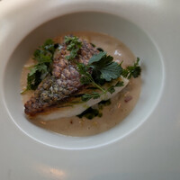 TRATTORIA CREATTA - 