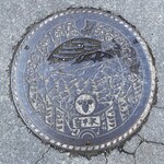 ホテル鹿島ノ森 - カラーじゃないマンホール