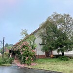 バイエルン - 外観