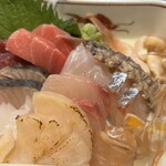 たぬき ラクーンドッグ - 