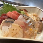 たぬき ラクーンドッグ - 