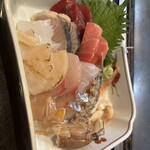 たぬき ラクーンドッグ - 