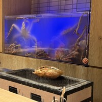 湘南沖地蟹専門店ふじ月 - 