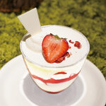 グリーンハウスシルバ - 