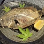 居酒屋めるへん - 