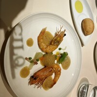 CILQ - 