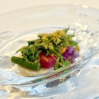 l'elan - 