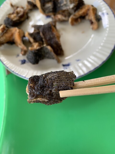 追の沢マス釣場 - 中央弘前（麺類）の写真