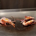 銀座 鉄板焼き ステーキ K-sio - 伊勢海老