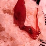 海鮮居酒屋 善進丸 - 