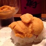 誠 - 今が旬。余市産のウニをプレーンに頂きます。