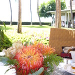 House Without a Key - ランチ　テーブルの花と芝