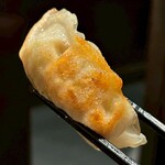 本格水炊きと博多もつ鍋 地鶏と九州料理 居酒屋 鳥邸 - 