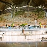 表参道うかい亭 - 