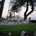 Orchids - ハウスウィズアウトアキーのフラとダイヤモンドヘッド