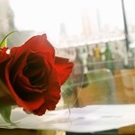 表参道うかい亭 - 