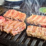 ホルモン人生タロちゃん - 